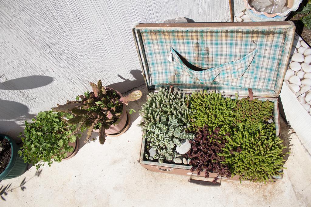 Terrace Garden Boutique Hotel Tbilisi Ngoại thất bức ảnh