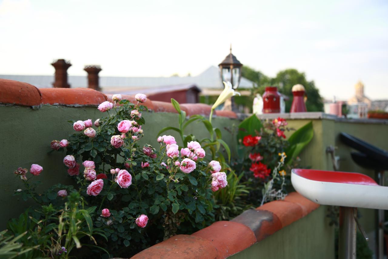 Terrace Garden Boutique Hotel Tbilisi Ngoại thất bức ảnh
